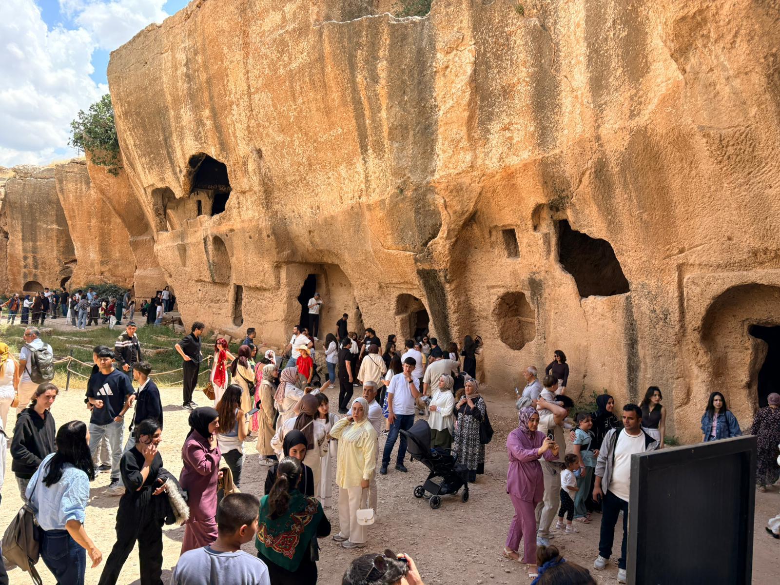 Colorfest afişi